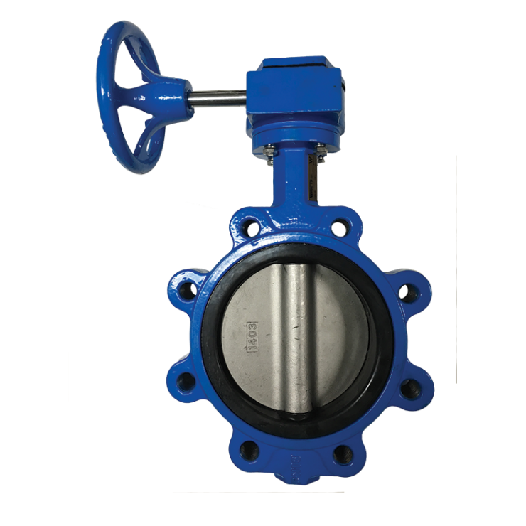 Watts Butterfly Valve  Lug Type Gear Operated