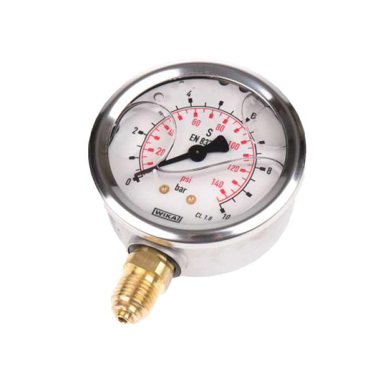 Gauges Pressure Gauge S/S Back Lower Mount