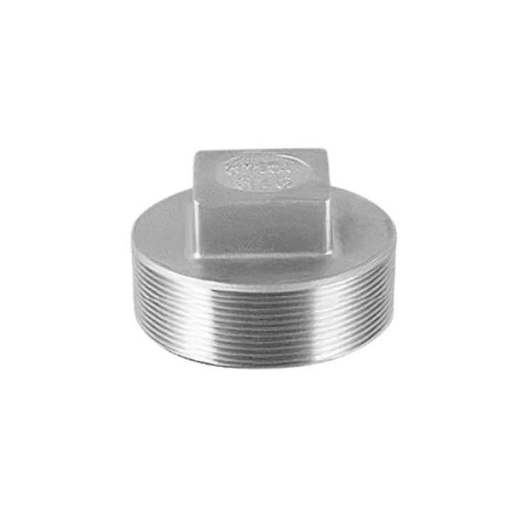 Stainless Steel Fittings